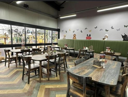 Click Here To Enlarge This Photo Of Garden King - Newhall, Swadlincote